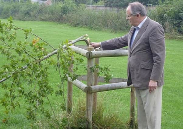 A tree that was planted by children to mark the Queen's Diamond Jubilee has been callously snapped in half. Tring mayor Stephen Hearn says the culprits are 'nasty little vandals'