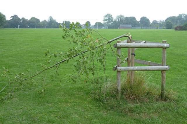 A tree that was planted by children to mark the Queen's Diamond Jubilee has been callously snapped in half by vandals PNL-140809-154238001