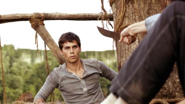 The Maze Runner