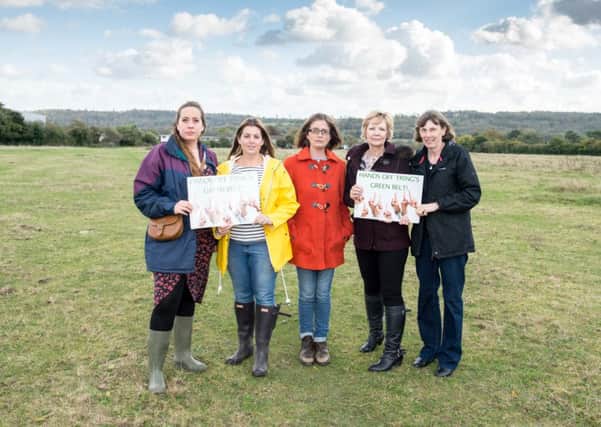 Protestors from Hands off Tring's Green Belt unhappy about plans for housing and travellers site - pictured at the site just off Icknield Way