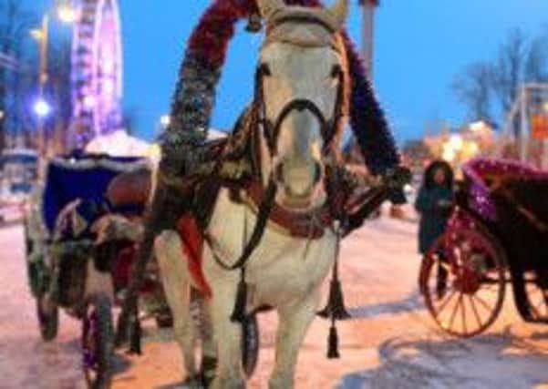 Horse drawn carriages at Winterville in London