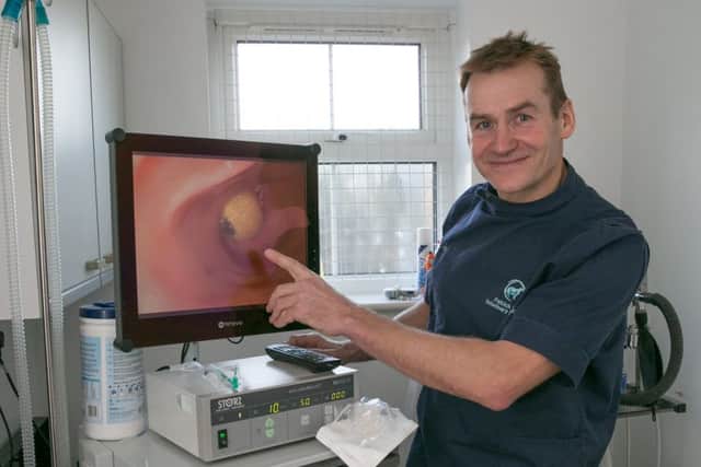 Veterinary surgeon Patrick Dale, of Springwell Vets in Tring, with an image of a plastic eyeball found in the stomach of a dog