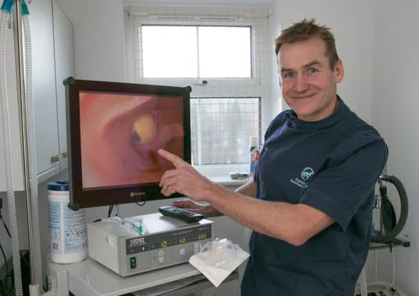 Veterinary surgeon Patrick Dale, of Springwell Vets in Tring, with an image of a plastic eyeball found in the stomach of a dog