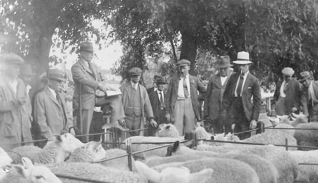 Early 20th century picture of auctioneer Sidney Wigley at Winslow Market
