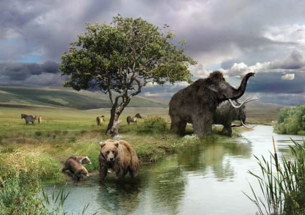 Reconstruction of a 200,000 year old mammoth whose bones were excavated at Marsworth