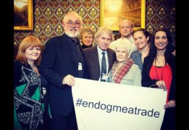 Keith Taylor (near back, white shirt), at the House of Commons with celebrities who attended the briefing. Front from left: Lesley Nicol, Peter Egan (both actors in Downton Abbey), David Mills (conservationist and partner of Dame Judi Dench) and Dame Judi Dench.