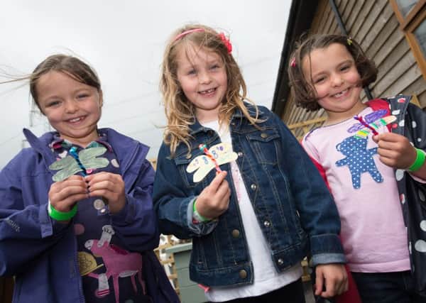 Green Dragon Eco Farm at Hogshaw hold a rural crafts weekend - pictured with the dragon flies they made at the BBOWT stand are Elsie Jacobs (6) with Lauren Cooke (7) and sister Olivia (5)