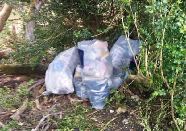 Rubbish dumped in the Ashridge National Trust estate