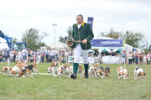 Hounds are paraded at a previous Bucks County Show