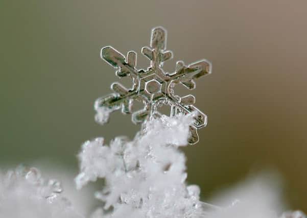 Cold weather warning - Photo: Philip King/Photocrowd.com