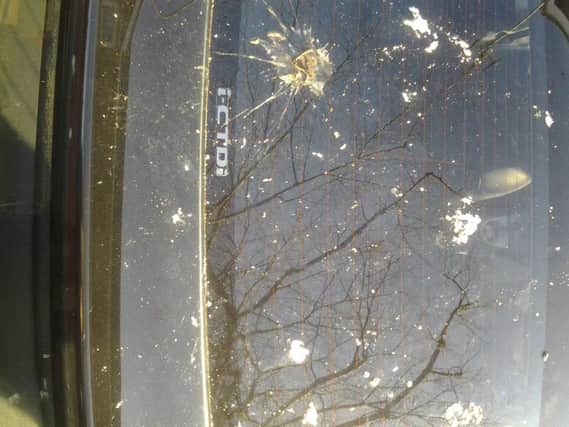 Bird mess on a car caused by pigeons in the tree which can be seen in the reflection
