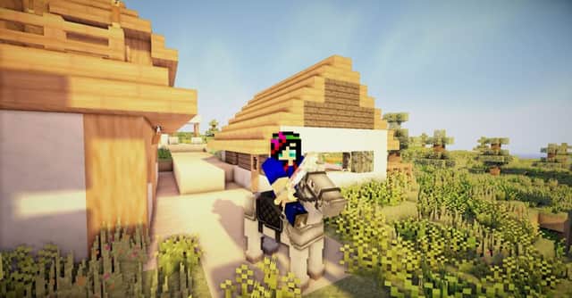 Minecraft warning. Photo: SWNS
