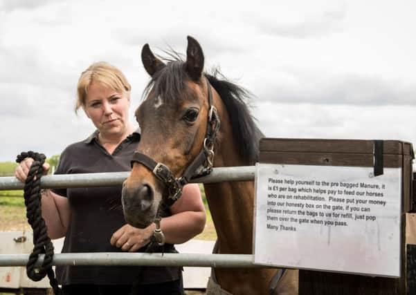 Bags of manure stolen from Hoofprints at Gawcott - pictured is 25 year old pony Dancer with yard manager Kim Newton and the honesty box on the gate by where they leave the manure