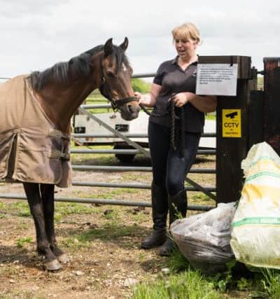 Bags of manure stolen from Hoofprints at Gawcott - pictured is 25 year old pony Dancer with yard manager Kim Newton and the honesty box on the gate by where they leave the manure PNL-160519-155108009