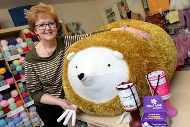 Mary Clements, proprietor of Clicketty Clack knitting shop, Princes Risborough, with 'Spike' the giant fundraising hedgehog. PNL-160730-202857009