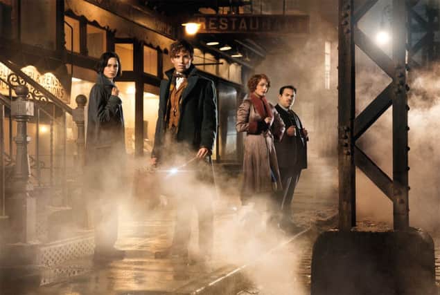 Fantastic Beasts and Where to Find Them. Credit: 2016 WARNER BROS ENTERTAINMENT INC