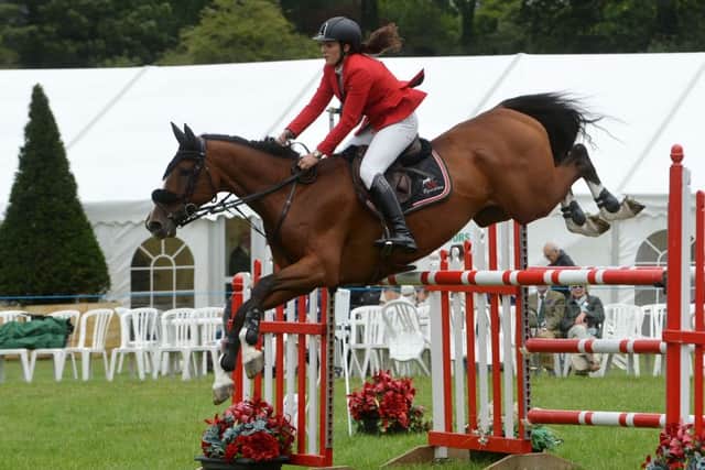 Action from Bucks County Show last year