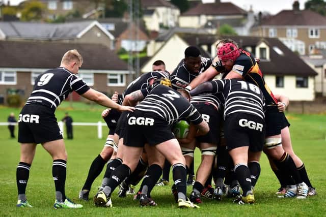 Scrum-half Greg Goodfellow marshals a Chinnor scrum at Cinderford. Picture by Aaron Bayliss