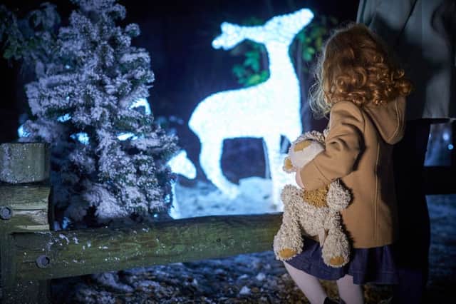 Woburn Forest will be lit up with over 70,000 fairy lights.