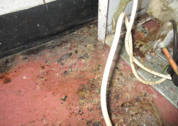 Mouse droppings were found at the Tommy Yaki takeaway in Thame by inspectors
