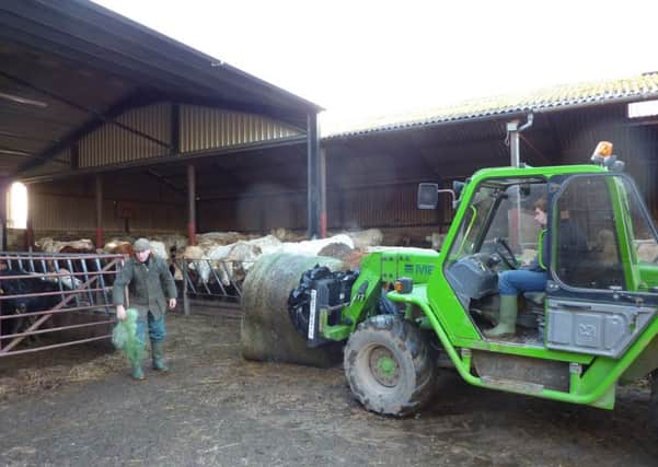 FARMING MATTERS: Feeding on a winter day.  Picture copyright Heather Jan Brunt