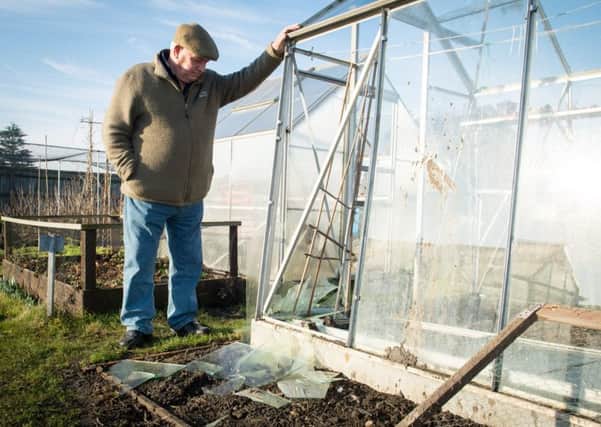 Vandalism at Tring Road Allotments - pictured is plot holder Roger Lammin