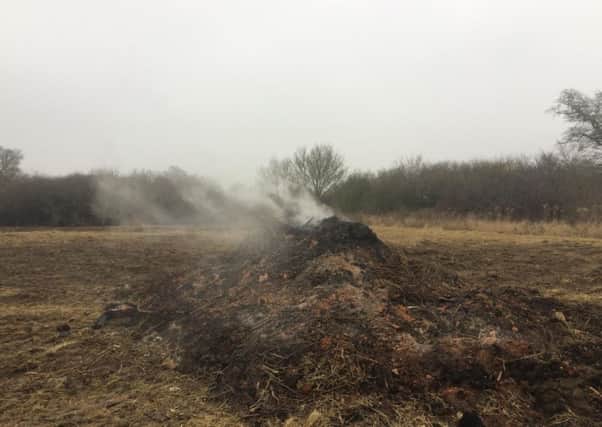 The bonfire in Watermead