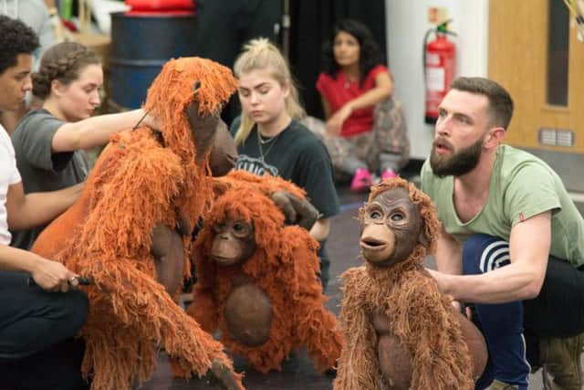 A wide range of puppets are used to bring Running Wild to life