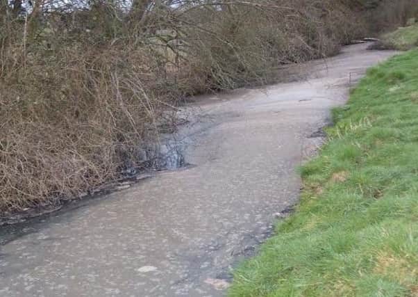 Thames Water has today been issued with a record fine for pollution of the River Thames