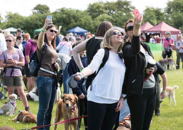 Hearing dogs event - The Great British Dog Walk at Stowe