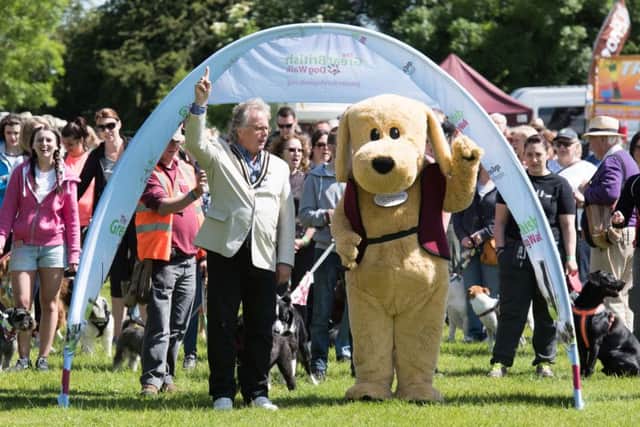 Hearing dogs event - The Great British Dog Walk at Stowe