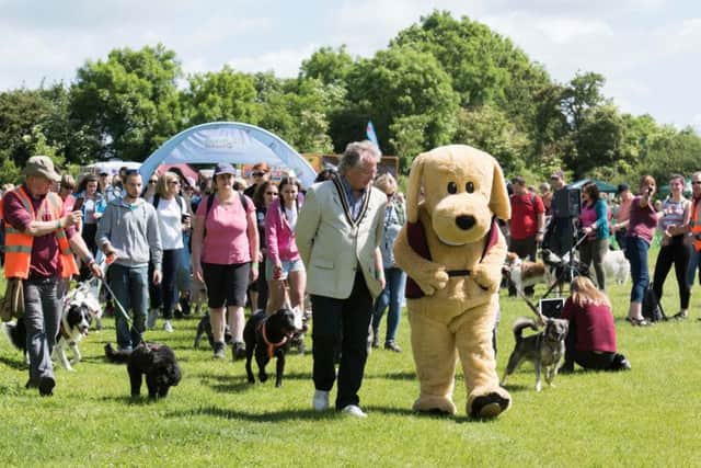 Hearing dogs event - The Great British Dog Walk at Stowe