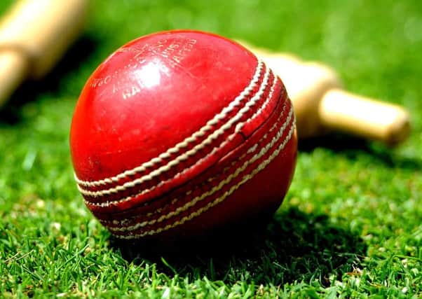 Cricket